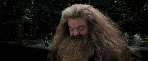 PdA-Potterish_4641.jpg
