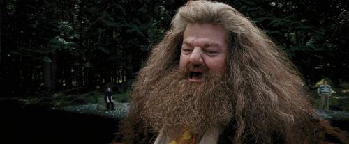 PdA-Potterish_4642.jpg