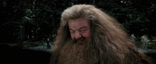 Click to view full size image
==============
PdA-Potterish_4643.jpg PdA-Potterish_4643.jpg