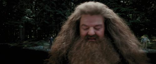 PdA-Potterish_4645.jpg