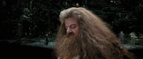 PdA-Potterish_4646.jpg