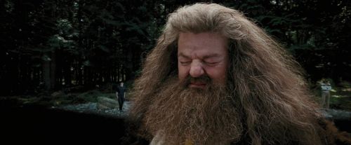 Click to view full size image
==============
PdA-Potterish_4648.jpg PdA-Potterish_4648.jpg