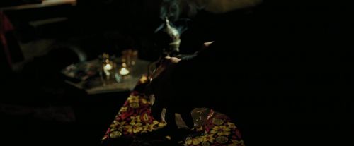 PdA-Potterish_5155.jpg