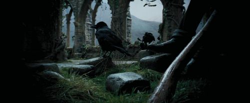 Click to view full size image
==============
PdA-Potterish_5245.jpg PdA-Potterish_5245.jpg
