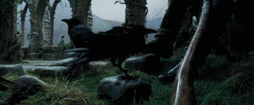 PdA-Potterish_5247.jpg