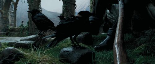 Click to view full size image
==============
PdA-Potterish_5248.jpg PdA-Potterish_5248.jpg