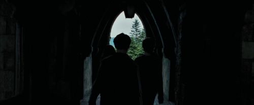 PdA-Potterish_5275.jpg