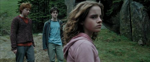 PdA-Potterish_5310.jpg