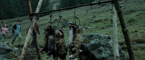 Click to view full size image
==============
PdA-Potterish_5344.jpg PdA-Potterish_5344.jpg