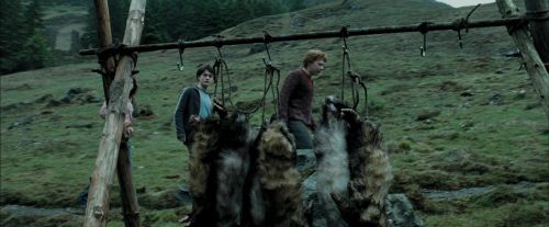 PdA-Potterish_5346.jpg