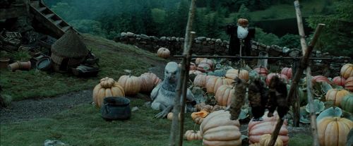 PdA-Potterish_5349.jpg