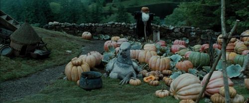 PdA-Potterish_5351.jpg