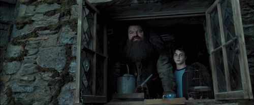 Click to view full size image
==============
PdA-Potterish_5356.jpg PdA-Potterish_5356.jpg