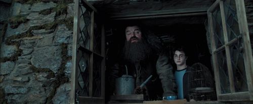 PdA-Potterish_5357.jpg