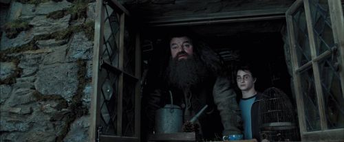 Click to view full size image
==============
PdA-Potterish_5358.jpg PdA-Potterish_5358.jpg