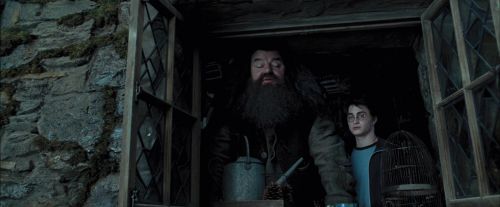 PdA-Potterish_5359.jpg