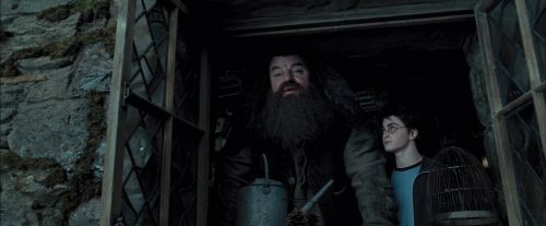 PdA-Potterish_5361.jpg