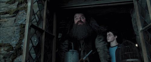 PdA-Potterish_5362.jpg