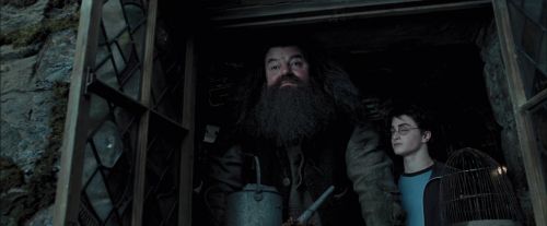 Click to view full size image
==============
PdA-Potterish_5363.jpg PdA-Potterish_5363.jpg
