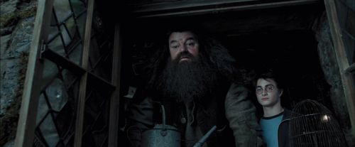 PdA-Potterish_5364.jpg