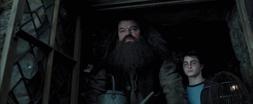 PdA-Potterish_5365.jpg
