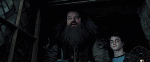 PdA-Potterish_5367.jpg
