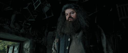 Click to view full size image
==============
PdA-Potterish_5379.jpg PdA-Potterish_5379.jpg