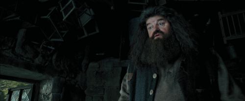 PdA-Potterish_5381.jpg