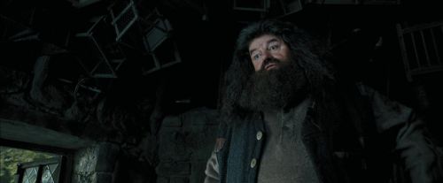 Click to view full size image
==============
PdA-Potterish_5382.jpg PdA-Potterish_5382.jpg