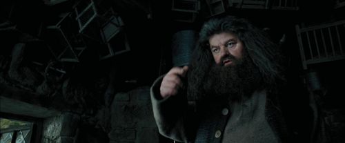 PdA-Potterish_5384.jpg