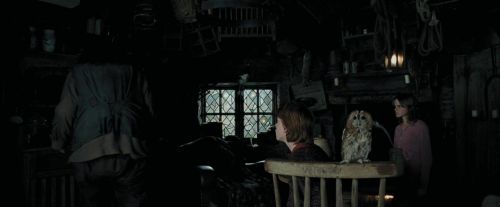 PdA-Potterish_5386.jpg