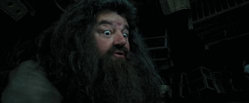 Click to view full size image
==============
PdA-Potterish_5395.jpg PdA-Potterish_5395.jpg