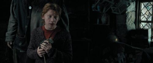 PdA-Potterish_5400.jpg