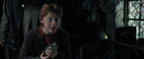Click to view full size image
==============
PdA-Potterish_5401.jpg PdA-Potterish_5401.jpg
