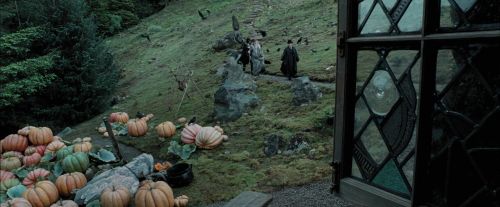 Click to view full size image
==============
PdA-Potterish_5420.jpg PdA-Potterish_5420.jpg
