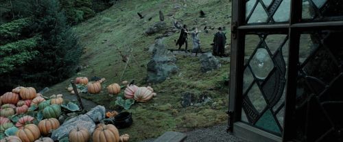 PdA-Potterish_5422.jpg