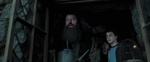 Click to view full size image
==============
PdA-Potterish_5424.jpg PdA-Potterish_5424.jpg