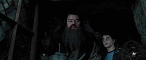 Click to view full size image
==============
PdA-Potterish_5425.jpg PdA-Potterish_5425.jpg