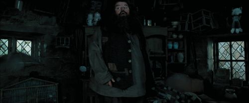 PdA-Potterish_5431.jpg