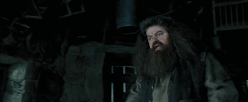 Click to view full size image
==============
PdA-Potterish_5438.jpg PdA-Potterish_5438.jpg