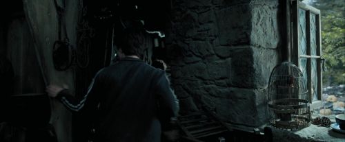 Click to view full size image
==============
PdA-Potterish_5440.jpg PdA-Potterish_5440.jpg
