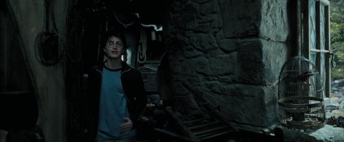 Click to view full size image
==============
PdA-Potterish_5441.jpg PdA-Potterish_5441.jpg