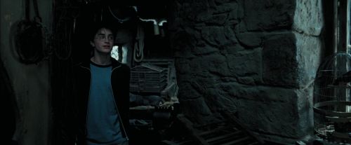 Click to view full size image
==============
PdA-Potterish_5442.jpg PdA-Potterish_5442.jpg