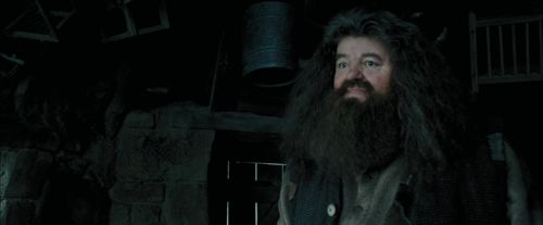 Click to view full size image
==============
PdA-Potterish_5444.jpg PdA-Potterish_5444.jpg