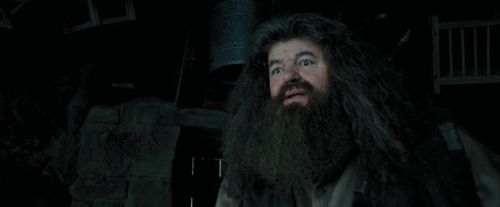 PdA-Potterish_5445.jpg