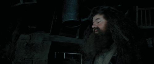 PdA-Potterish_5446.jpg