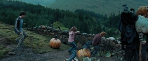 PdA-Potterish_5465.jpg