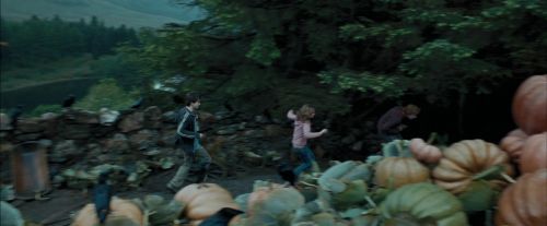 PdA-Potterish_5470.jpg