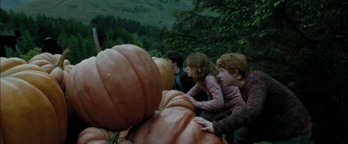 PdA-Potterish_5475.jpg