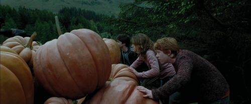 PdA-Potterish_5476.jpg